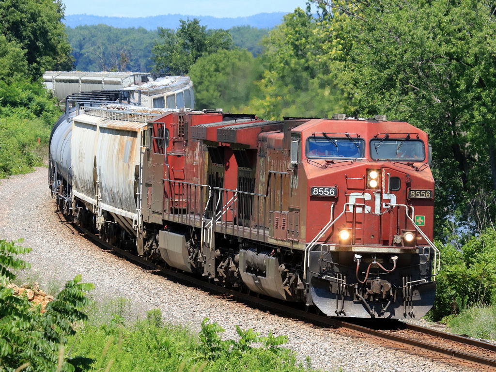 CP 8556